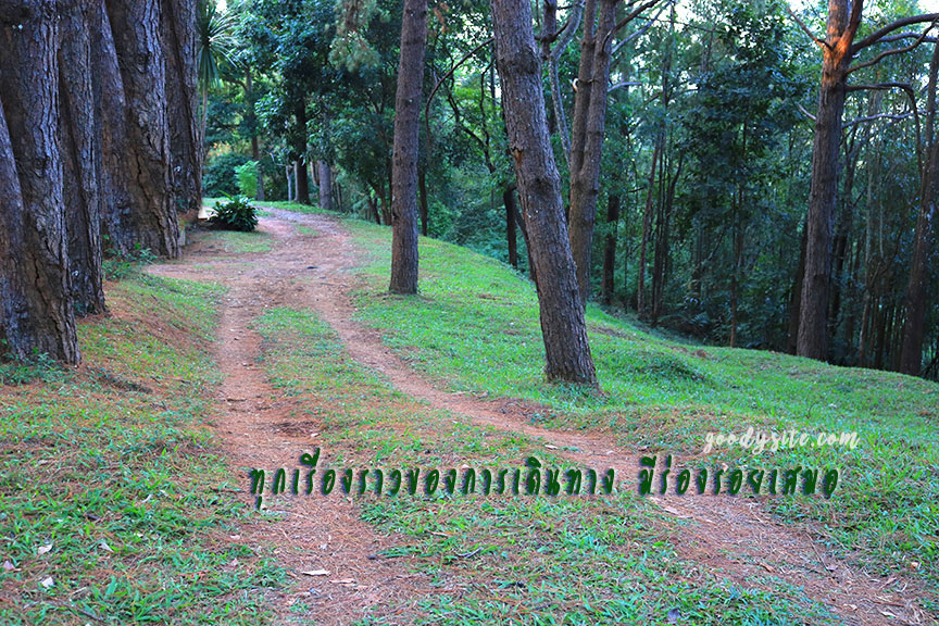 ทุกเรื่องราวของการเดินทาง มีร่องรอยเสมอ