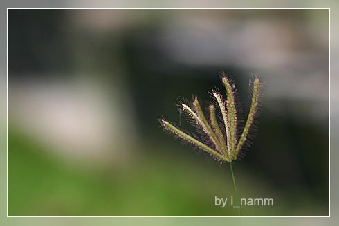 ฉันขอเพียง จะได้ไหม?
