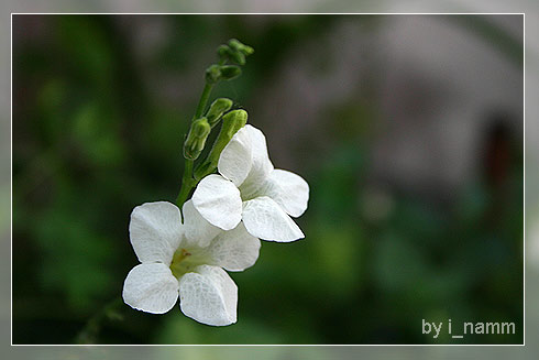 เขียนถึง “ความรัก” เพื่อความสุขในหัวใจ