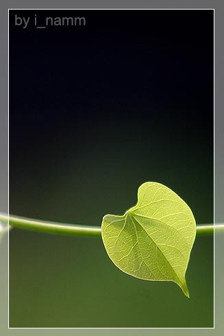 เขียนถึง “ความรัก” เพื่อความสุขในหัวใจ