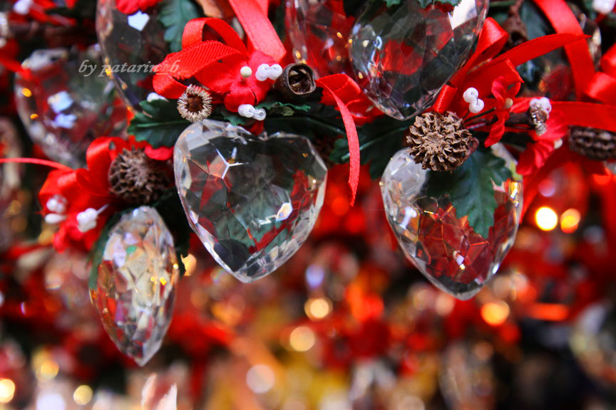 Europe อีกครั้ง 16_Love-is-all-around