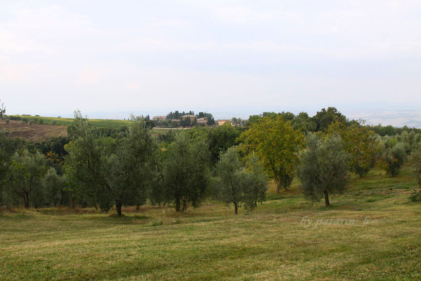 Europe อีกครั้ง 3: อิตาลี - Montalcino - Tenuta Greppo