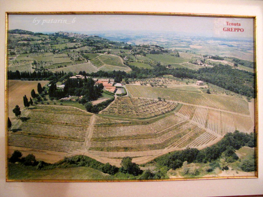 Europe อีกครั้ง 3: อิตาลี - Montalcino - Tenuta Greppo