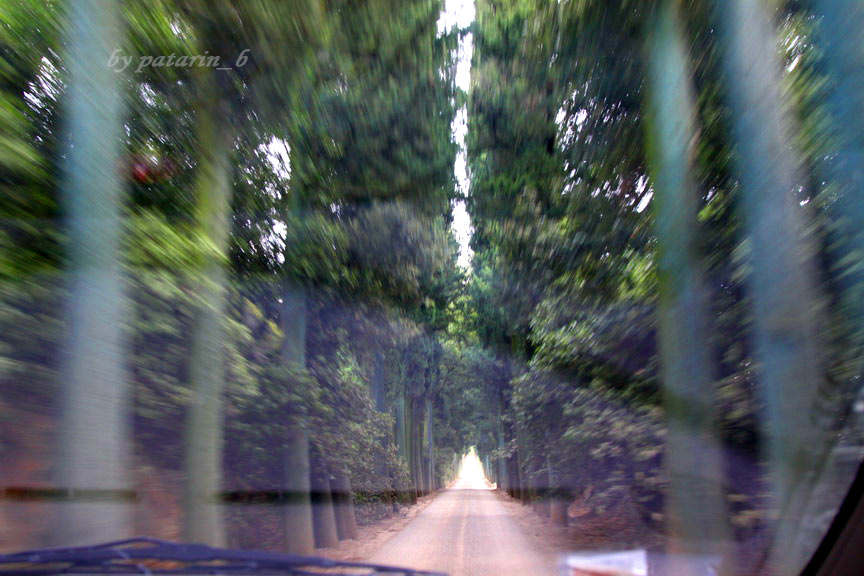 Europe อีกครั้ง 3: อิตาลี - Montalcino - Tenuta Greppo