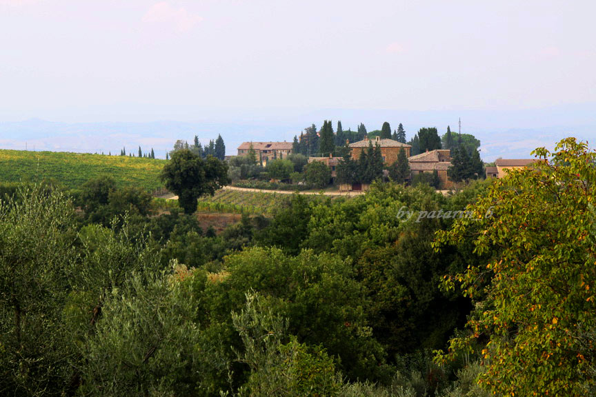 Europe อีกครั้ง 3: อิตาลี - Montalcino - Tenuta Greppo