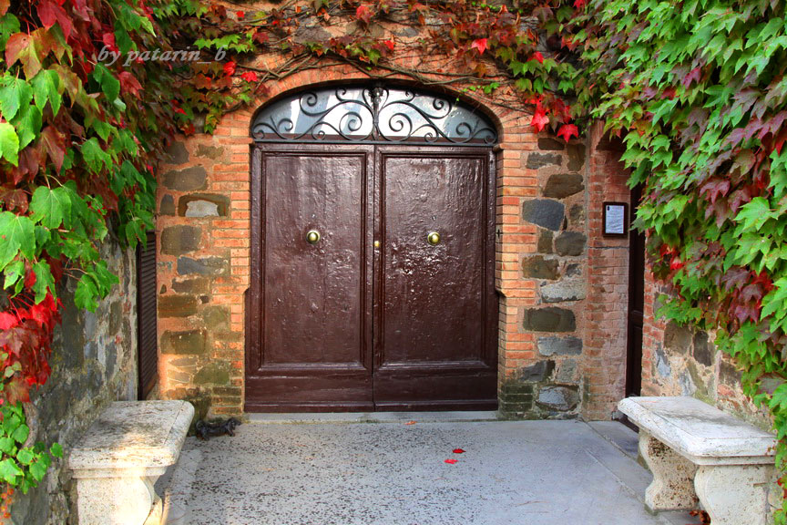 Europe อีกครั้ง 3: อิตาลี - Montalcino - Tenuta Greppo