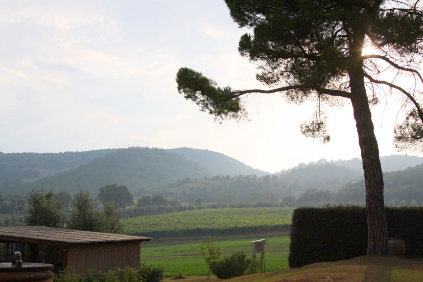 Europe อีกครั้ง 3: อิตาลี - Montalcino - Tenuta Greppo