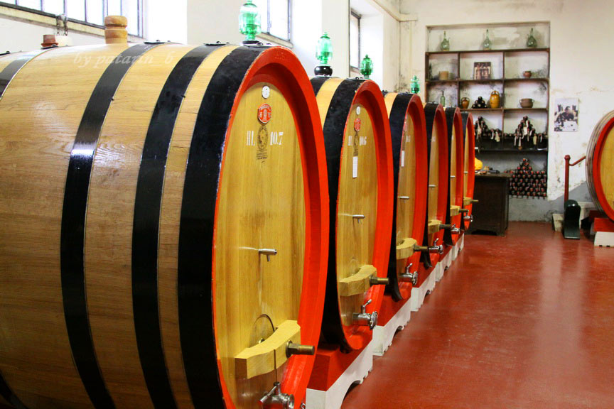 Europe อีกครั้ง 3: อิตาลี - Montalcino - Tenuta Greppo