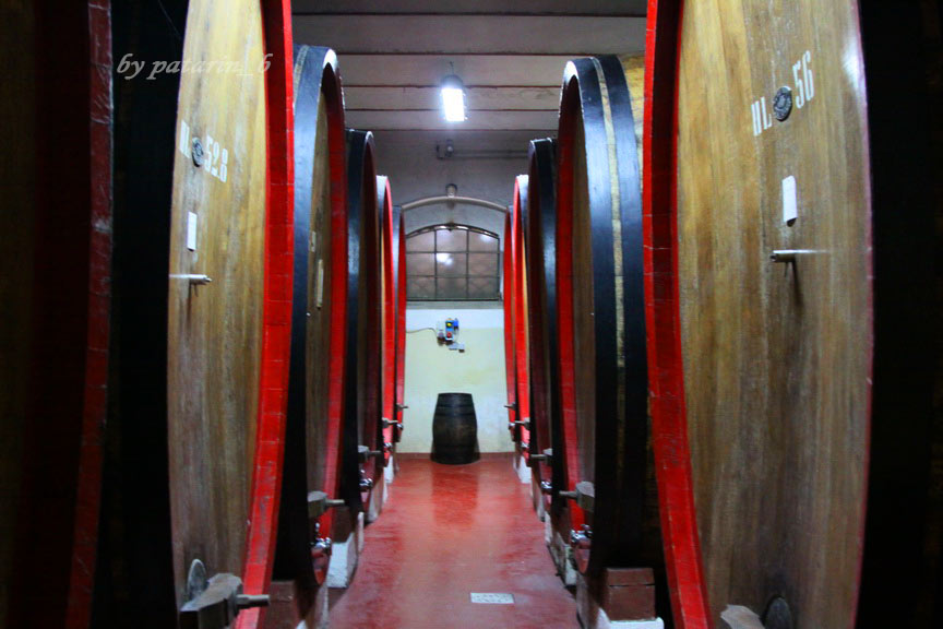 Europe อีกครั้ง 3: อิตาลี - Montalcino - Tenuta Greppo