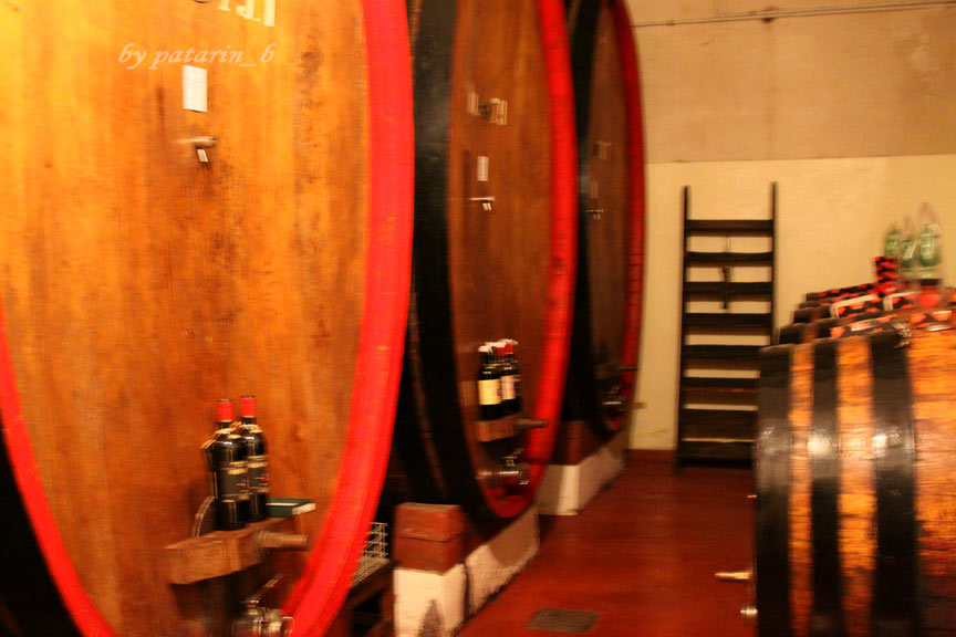 Europe อีกครั้ง 3: อิตาลี - Montalcino - Tenuta Greppo