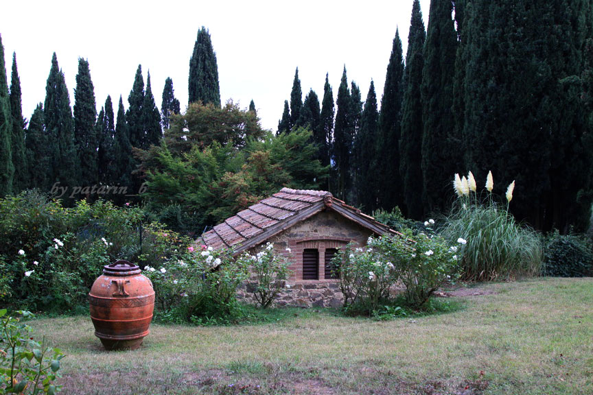 Europe อีกครั้ง 3: อิตาลี - Montalcino - Tenuta Greppo