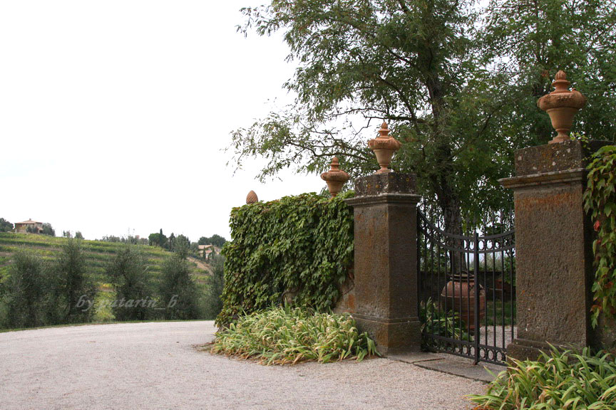 Europe อีกครั้ง 3: อิตาลี - Montalcino - Tenuta Greppo
