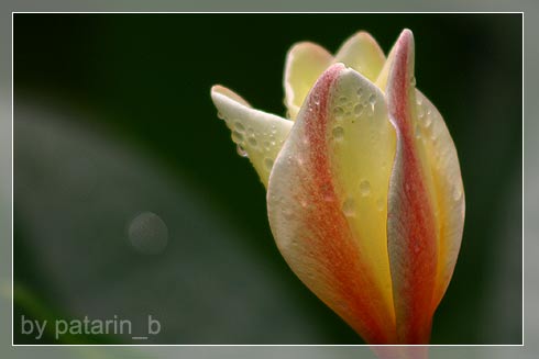 ลีลา.. ว่าดี