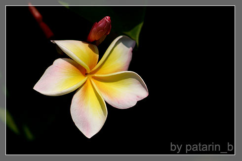 ลีลา.. ว่าดี