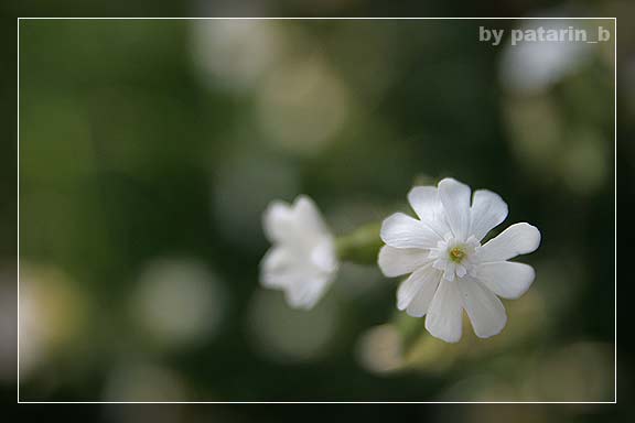 แทบขาดใจ