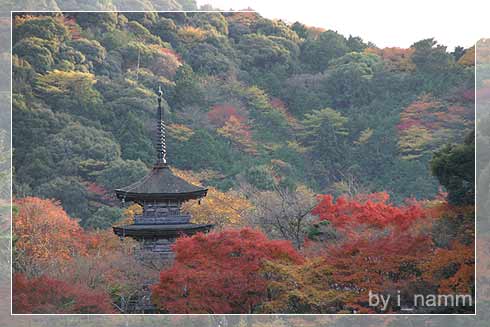 when i went to Japan