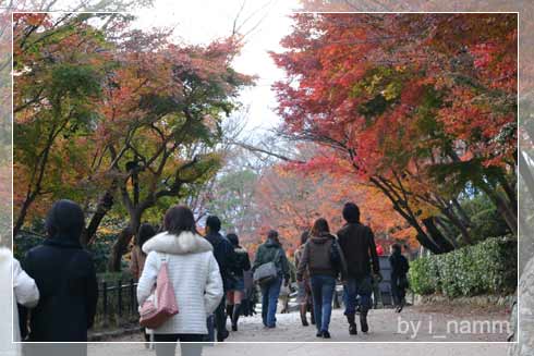 when i went to Japan