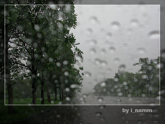 ฝนเทลงมา