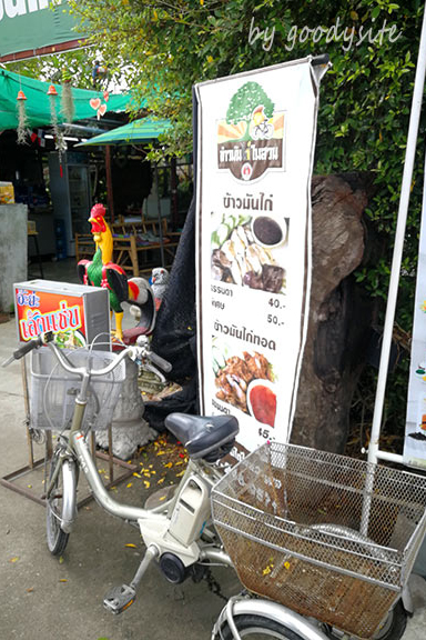 ข้าวมันไก่ในสวนดึก