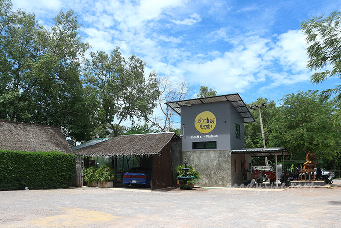 เพชรบุรี 5 ร้านข้าวใหม่ปลามัน