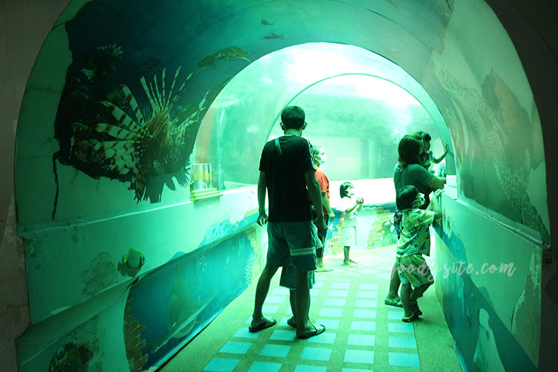 จันทบุรีอีกครั้ง 10 สถานแสดงพันธุ์สัตว์น้ำเฉลิมพระเกียรติ