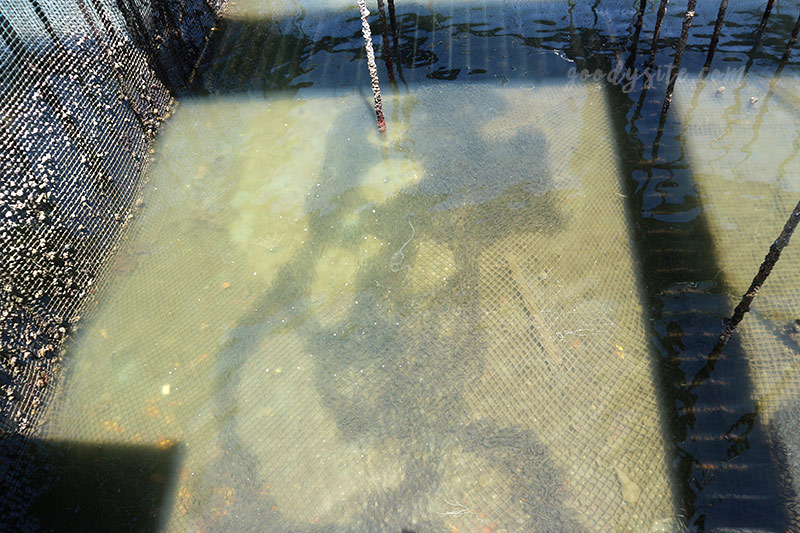 จันทบุรีอีกครั้ง 2 หน่วยสาธิตการเลี้ยงสัตว์น้ำ