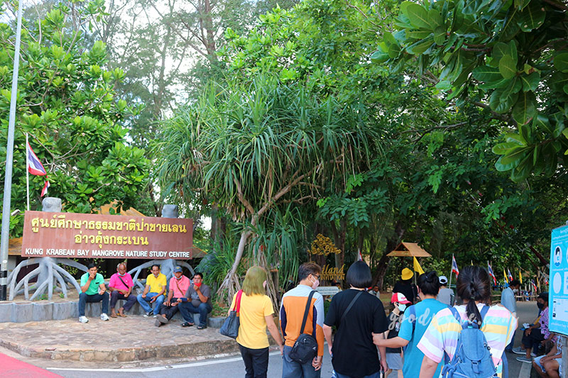 จันทบุรีอีกครั้ง 1 ป่าชายเลนคุ้งกระเบน