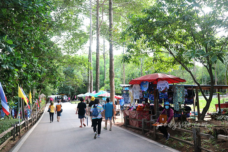 จันทบุรีอีกครั้ง 1 ป่าชายเลนคุ้งกระเบน