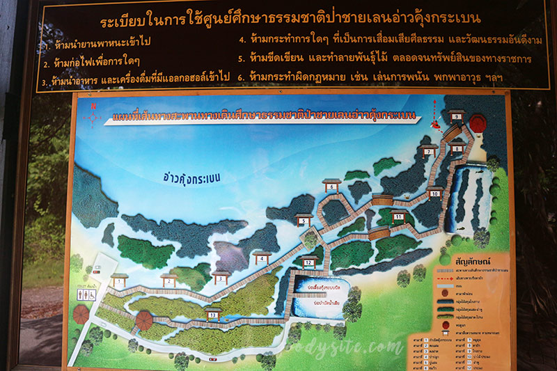 จันทบุรีอีกครั้ง 1 ป่าชายเลนคุ้งกระเบน