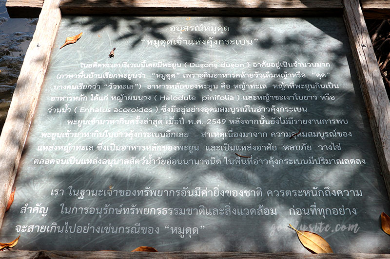 จันทบุรีอีกครั้ง 1 ป่าชายเลนคุ้งกระเบน