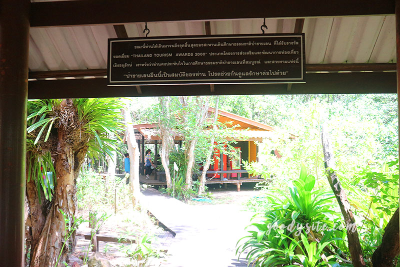 จันทบุรีอีกครั้ง 1 ป่าชายเลนคุ้งกระเบน