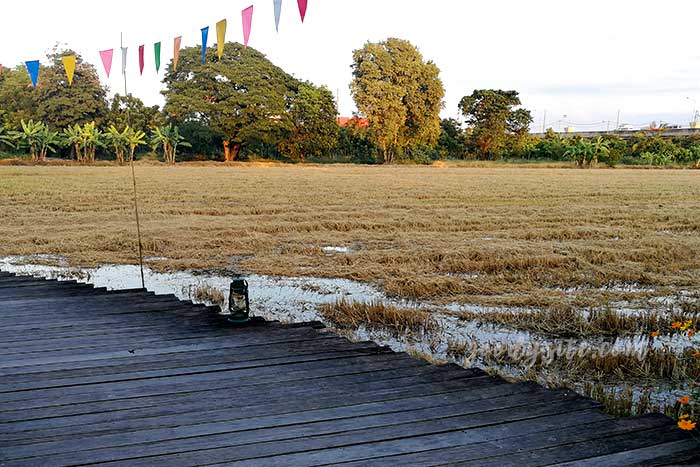 ร้านอาหารชมนา บาร์แอนด์เทอเรส รามคำแหง 211