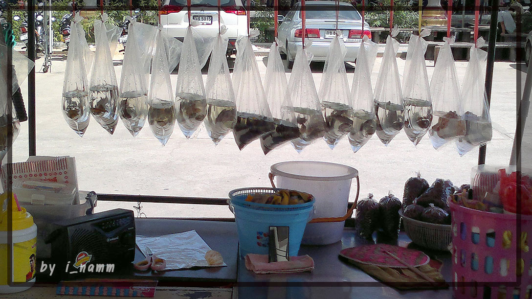 ตลาดน้ำขวัญเรียม
