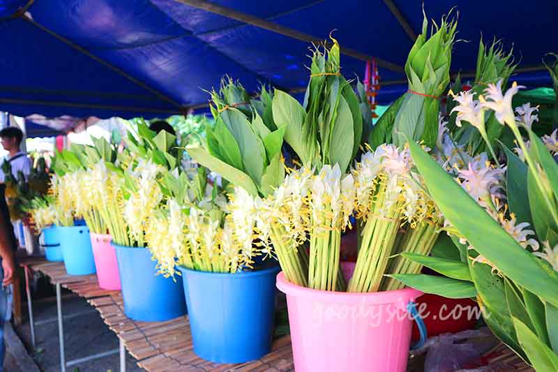 สระบุรี 1 - ตักบาตรดอกเข้าพรรษา