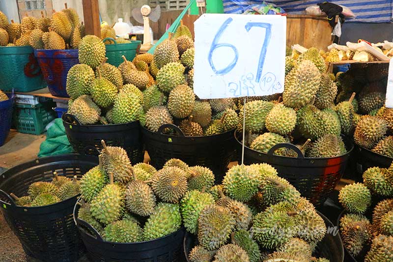 ตาก 1 โรงเรียนบ้านแม่ออกผารู ห้องเรียนสาขาทินึเด