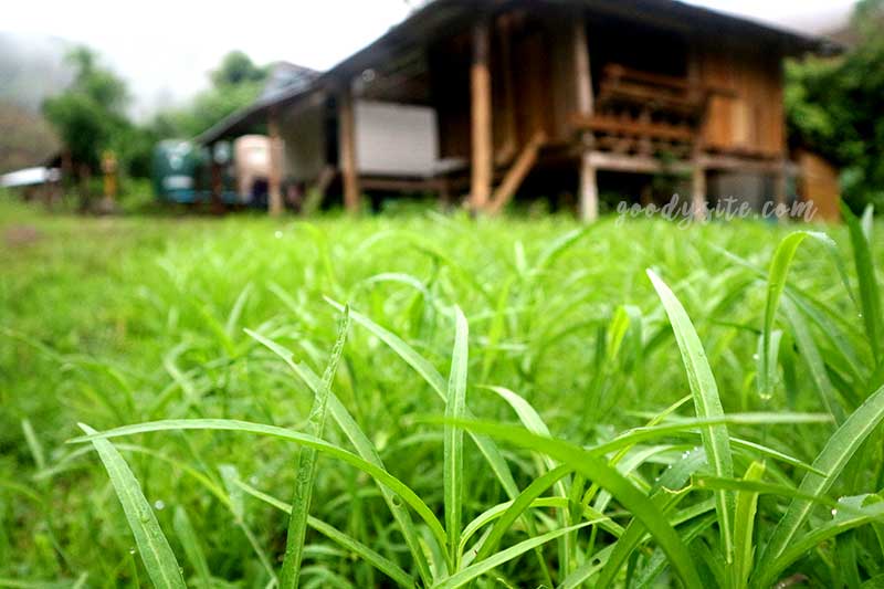ตาก 1 โรงเรียนบ้านแม่ออกผารู ห้องเรียนสาขาทินึเด