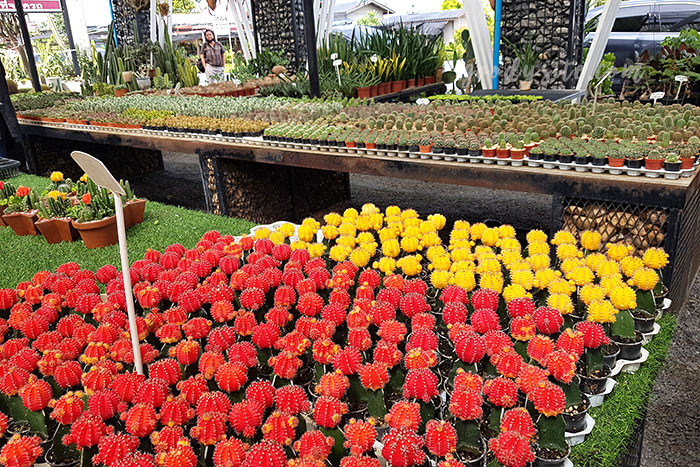 นครนายก 1 สวนป้าอินทร์ คลอง 15 องครักษ์