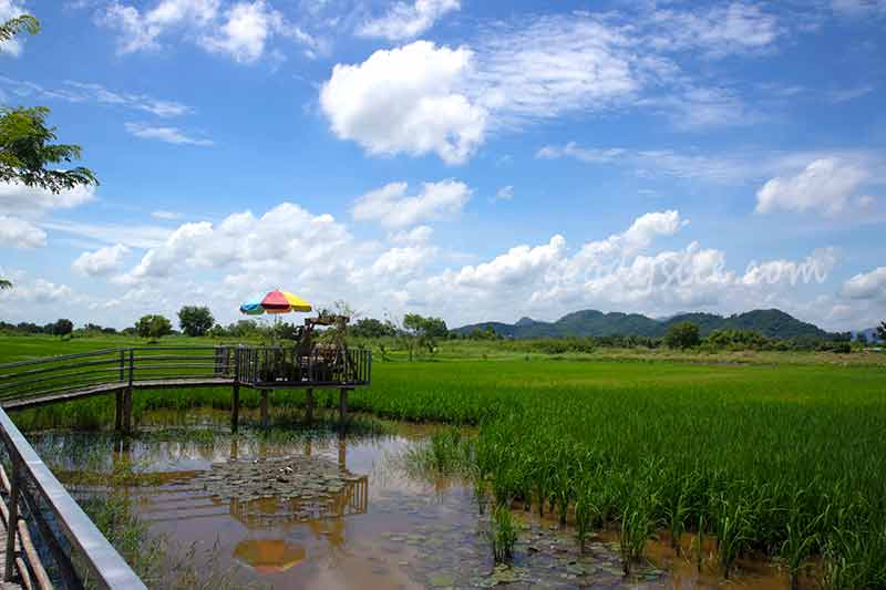 นครนายก 5 ร้านบรีส&เบส