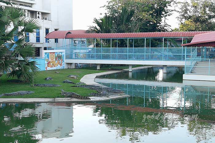 สถานแสดงพันธ์ุสัตว์น้ำบึงฉวากเฉลิมพระเกียรติ สุพรรณบุรี