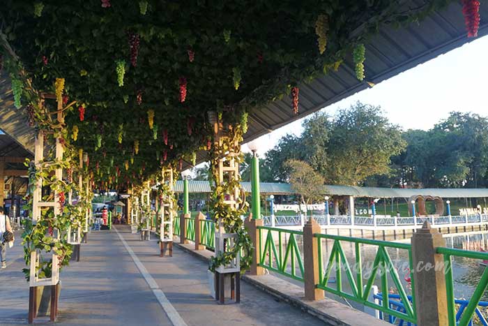สถานแสดงพันธ์ุสัตว์น้ำบึงฉวากเฉลิมพระเกียรติ สุพรรณบุรี