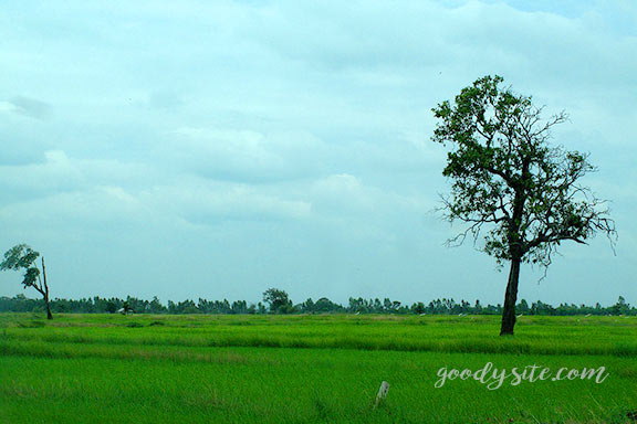 บุรีรัมย์ 16 เถียงนา ณ จังหวัดบุรีรัมย์