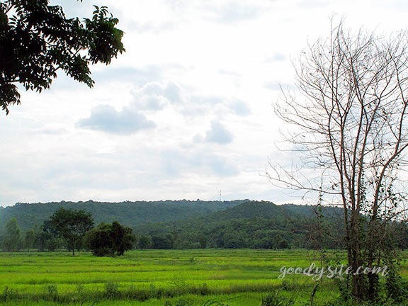 บุรีรัมย์ 16 เถียงนา ณ จังหวัดบุรีรัมย์