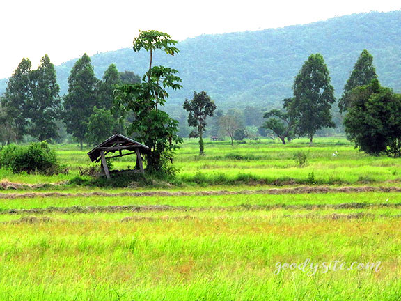 บุรีรัมย์ 16 เถียงนา ณ จังหวัดบุรีรัมย์