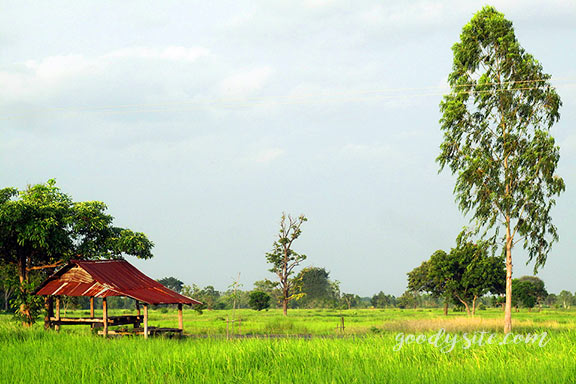 สิ่งที่ขาด ย่อมโหยหา เป็นธรรมชาติของคนเรา