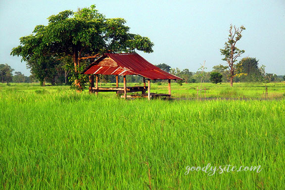 บุรีรัมย์ 16 เถียงนา ณ จังหวัดบุรีรัมย์