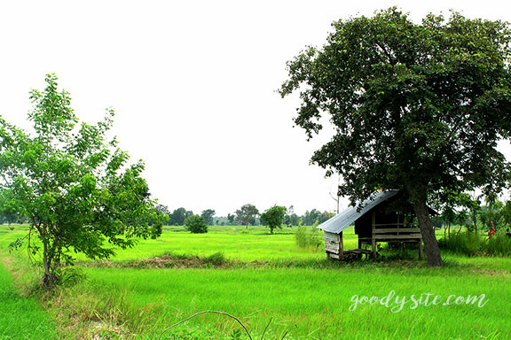 บุรีรัมย์ 16 เถียงนา ณ จังหวัดบุรีรัมย์
