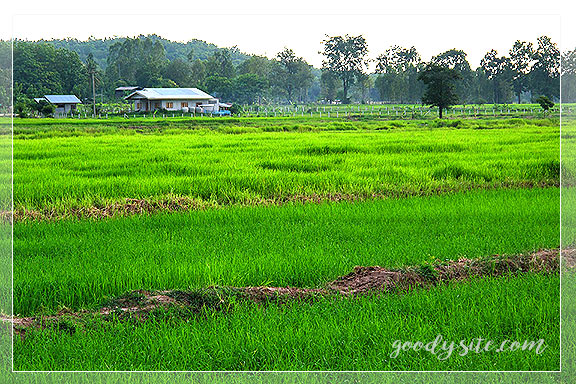 บุรีรัมย์ 9 บนถนน On the Road เดินทางค้นหาอุทยานประวัติศาสตร์