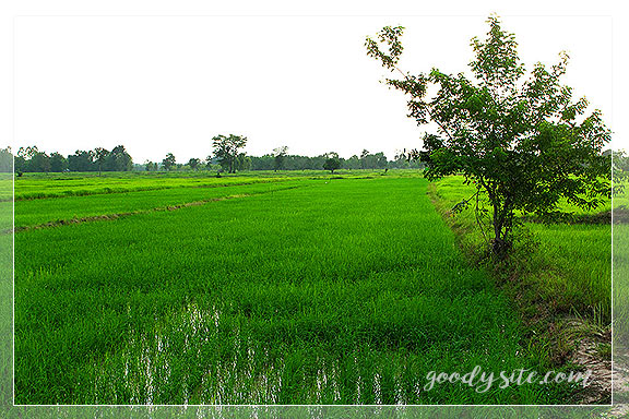 บุรีรัมย์ 9 บนถนน On the Road เดินทางค้นหาอุทยานประวัติศาสตร์