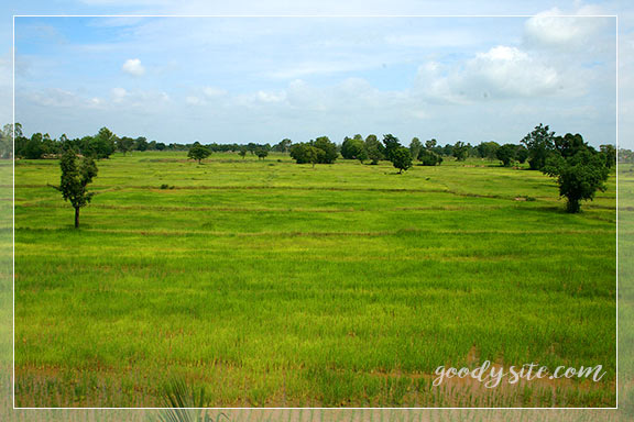 บุรีรัมย์ 11 พี แอนด์ พี รีสอร์ท อ. ประโคนชัย จ. บุรีรัมย์