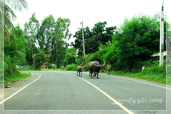 บุรีรัมย์ 10 ที่นี่ ที่ไหน In the Middle of Nowhere ตามรอยอุทยานประวัติศาสตร์